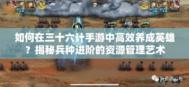 《华夏平民养兵秘籍：高效技巧攻略全解析》