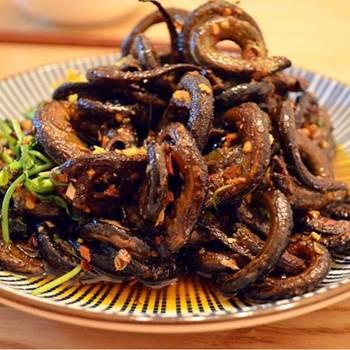 《吴国红烧队新三国志曹操传攻略：实战解析》