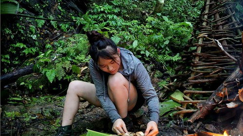 荒野求生不吃熏肉挑战，极限生存大考验