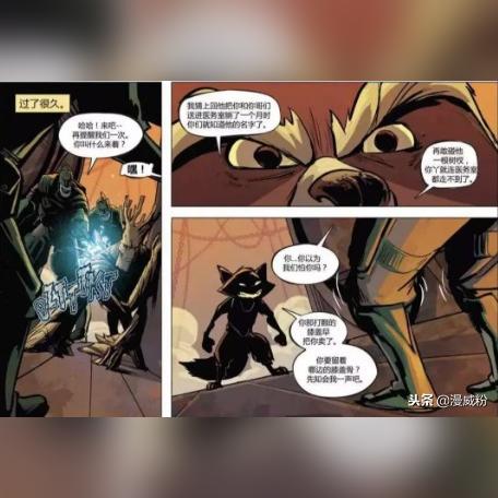 《浣熊不高兴：神秘特殊房间揭秘，玩法攻略大公开》