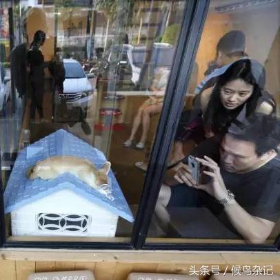 《浣熊不高兴：神秘特殊房间揭秘，玩法攻略大公开》