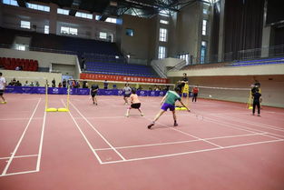 新田瞬测评：球场低空霸主，闪耀瞬间风采