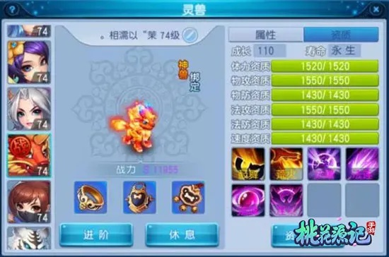 梦想桃源69级宠物搭配攻略：最强阵容曝光