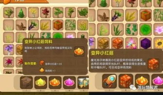 《食物语重整片场第一关攻略：轻松通关秘籍》