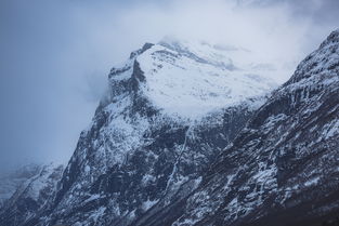 挪威雪山生存挑战：挨饿荒野生存攻略秘籍