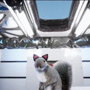 十大经典耐玩开放世界游戏盘点：盘点最好玩的游戏世界