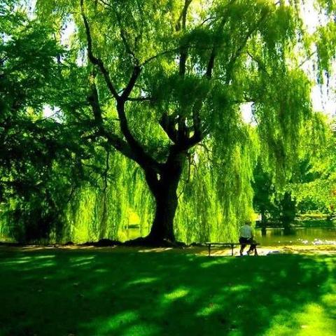 《自然游戏人气榜：盘点十大热门自然游戏》
《十大自然游戏排行：人气爆棚的绿色游戏精选》
《自然游戏热度飙升！揭秘十大最受欢迎游戏》
《绿色游戏盛宴：十大人气自然游戏大盘点》
《自然游戏热潮来袭！十大热门游戏推荐》
《十大自然游戏排行：玩家心中的绿色天堂》
《自然游戏人气榜：绿色游戏界的十大明星》
《绿色游戏排行：十大自然游戏人气爆棚》
《自然游戏排行榜：揭秘十大热门绿色游戏》
《十大自然游戏人气王：绿色游戏界的爆款盘点》