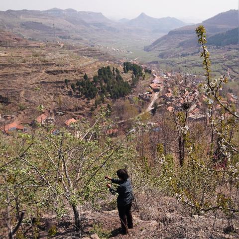 《光遇宝石面具先祖寻踪：揭秘获取攻略》