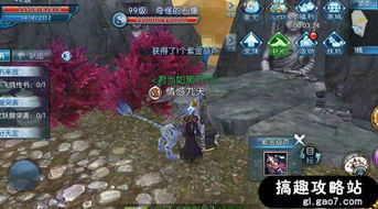 《诛仙2海岛灵树奇遇攻略：东海奇遇全解析》