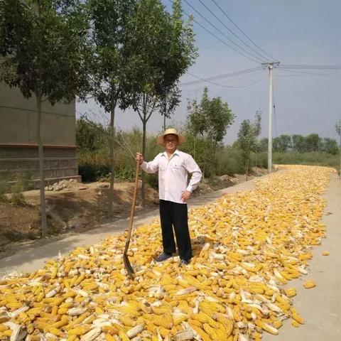 四海兄弟故乡逃犯落网：揭秘报纸追踪真相