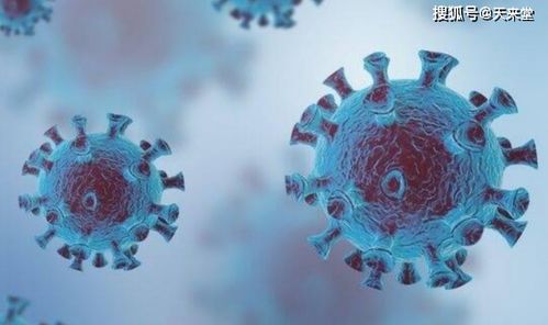 石油大亨专家模式攻略：高效通关秘籍大揭秘