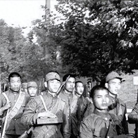 《小兵大作战新服战力飞跃：7日攻略秘籍》