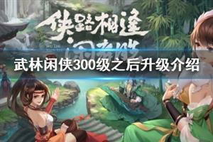 武林闲侠300级攻略：高效升级玩法揭秘