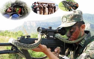 《热门狙击手游盘点：下载量飙升的射击佳作推荐》