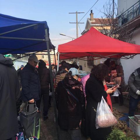 幻塔零度指针：意志搭配攻略全解析