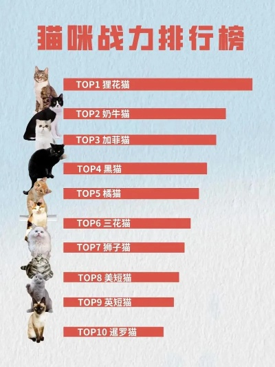 《热门下载！盘点最受欢迎的猫游戏排行》