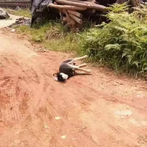 《十大撤离射击游戏盘点：经典撤离射击游戏推荐》
《撤离射击游戏精选：不容错过的十大经典之作》
《逃离战场必备！十大撤离射击游戏推荐盘点》
《射击逃生达人必玩：十大撤离射击游戏推荐》
《经典重现！盘点十大撤离射击游戏推荐》
《十大撤离射击游戏推荐：射击逃生新体验》
《逃离危机！十大撤离射击游戏推荐清单》
《射击爱好者必看：十大撤离射击游戏推荐》
《十大撤离射击游戏推荐：重温逃生刺激》
《射击逃生游戏精选：十大撤离射击游戏推荐》