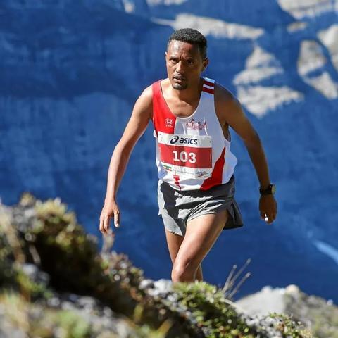 《热门马拉松游戏盘点：人气收藏必备清单》