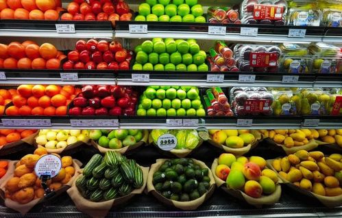 《交错战线新手池双黄必选攻略：轻松上分秘诀》