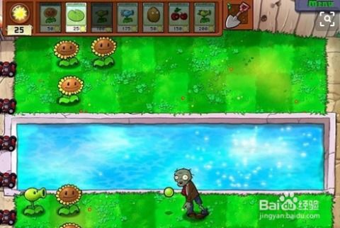 《农夫绿豆炮兵皮肤解锁攻略：豌豆射手独享秘籍》