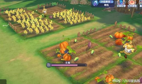 《仙境传说新启航：平民玩家开荒高效指南》