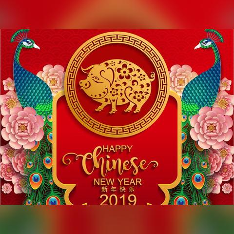 《食物语开花顺序攻略：高效提升战力秘籍》