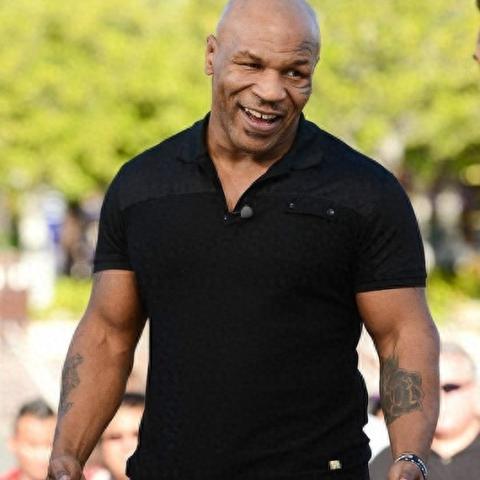 《拳坛风云：下载热门拳击游戏，排行揭秘！》