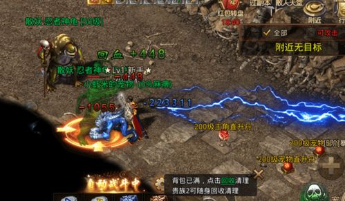 《热门劫掠游戏盘点：盘点游戏大全中的爆款》