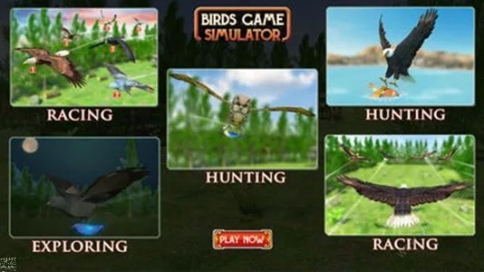 《十大热门鸟游戏盘点：不容错过的飞行盛宴》