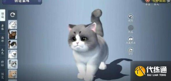 《天涯明月刀手游猫咪繁育攻略：养猫系统玩法揭秘》