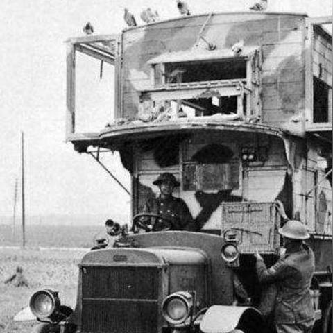 《冷门神枪盘点：使命召唤手游隐藏强势枪械》