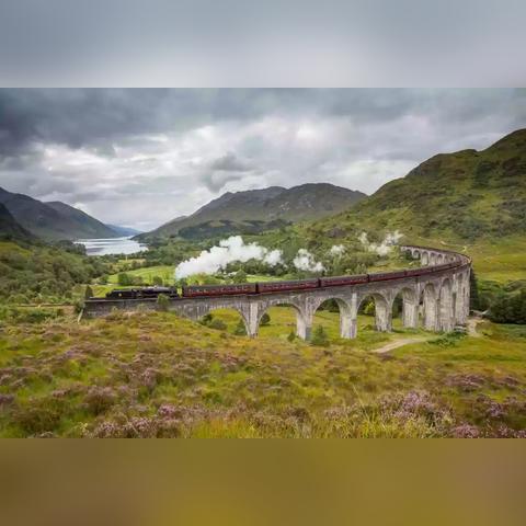 哈利波特觉醒海格小屋入口攻略揭秘