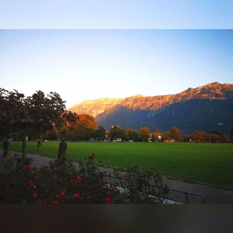 《光遇飞翔季向导全攻略：揭秘隐藏位置》