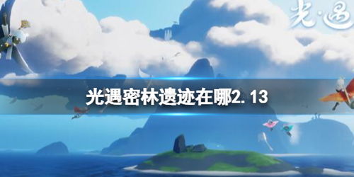 《光遇花环冥想点精准位置揭秘》
