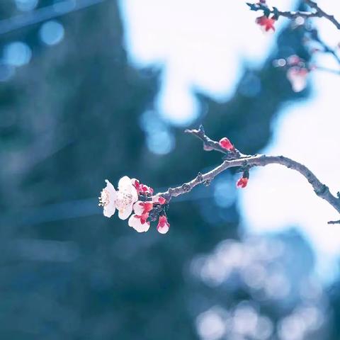 烟雨江湖破旧玉碗：隐藏属性解析，提升战斗力！