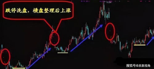 《万箭齐发新手速成！一招学会快速上手技巧》