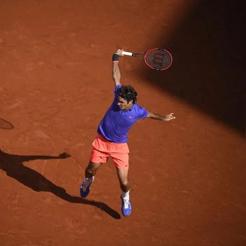 重生细胞茧图纸获取秘籍，独家攻略曝光！