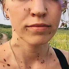 疫病爆发模拟游戏盘点：人气排行榜TOP10揭晓