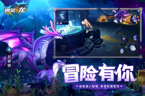 《遇见龙》阵容攻略：打造无敌最强阵容！