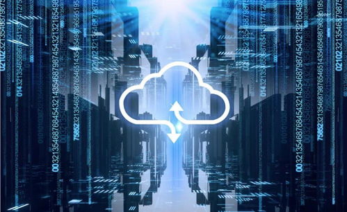 2024年360全景视频游戏盘点：热门推荐一览无遗