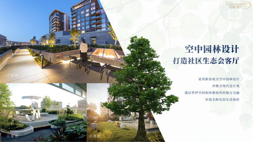 《光遇飞翔季卡价格揭秘：性价比之选》