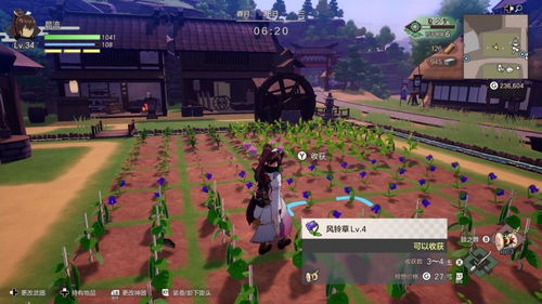 《符文工房龙之天地》畅玩攻略：最低配置推荐，轻松体验！