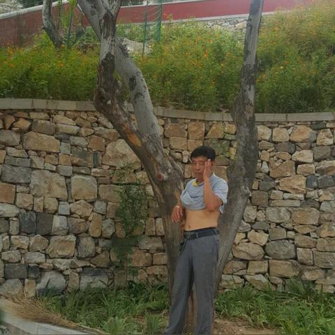 《比鹤乃肖像推荐！手游《魔法少女小圆》圆哆啦必带肖像》