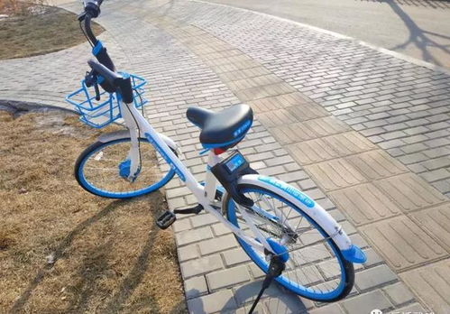 SCUM自行车攻略:高效使用技巧揭秘 SCUM自行车攻略:高效使用技巧揭秘