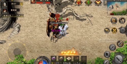 乌鸦之霜攻略：轻松升级，轮回之路揭秘