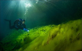 探寻水下秘境：盘点热门水底游戏推荐！