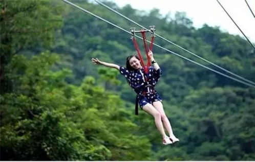 远光84滑索攻略：揭秘滑索实战技巧与战术运用