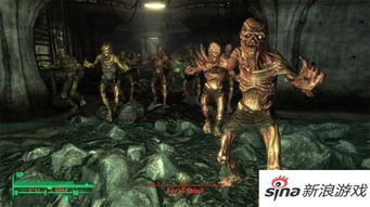 末日游戏盘点：十大热门人气排行榜揭晓