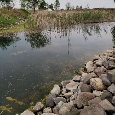 《热门下载！盘点钓鱼游戏中的佼佼者》