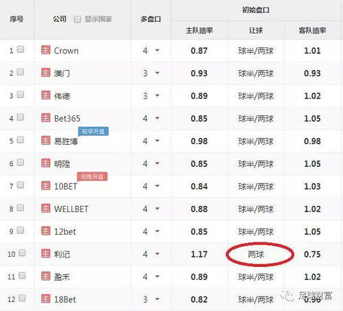 《开拓者高周目种族成长排行：揭秘最强属性组合》